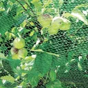 Bird protection net - 2 x 5 m