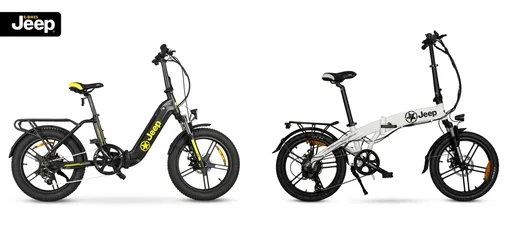 "Unisex Fold E-Bike, 20 inches, 6-speed derailleur, white, folding E-Bike FR 7011 image"