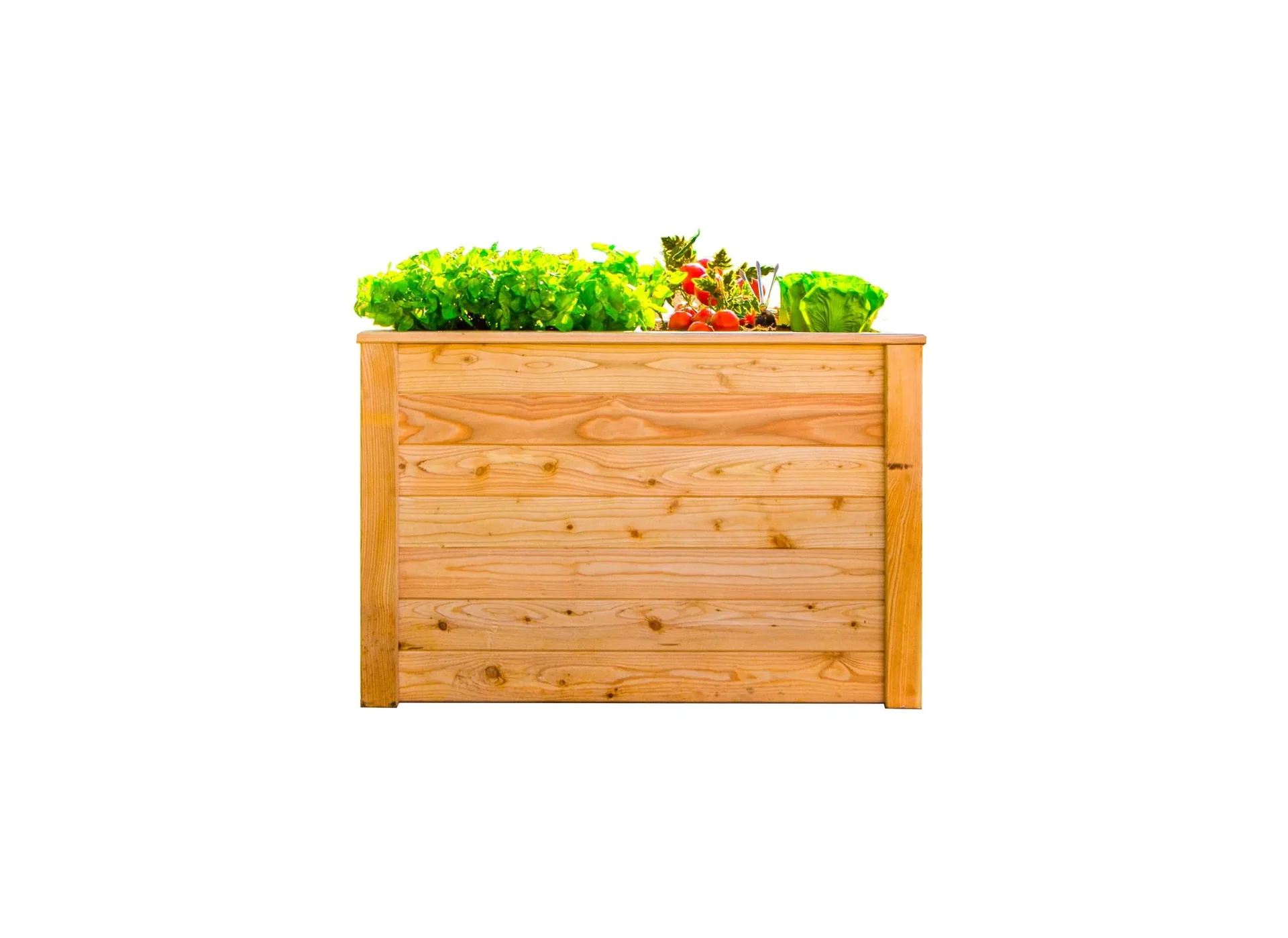 "Raised Bed Klassik 100, 100×65×66 cm, Natural – FSC Larch Wood, Back-Friendly image"