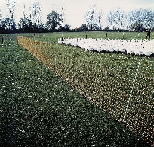 "Wolf JUMBO 106 cm with double tip, 50 m image"
