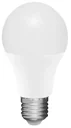 LED lamp in light bulb shape, 5.5 watts, E27, warm white
