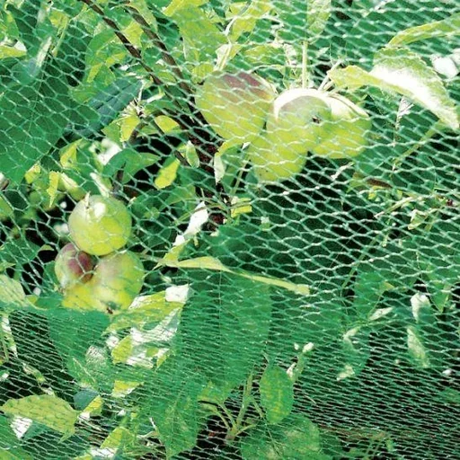 "Bird protection net - 2 x 10 m image"