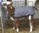 Calf blanket ripstop, 80 cm