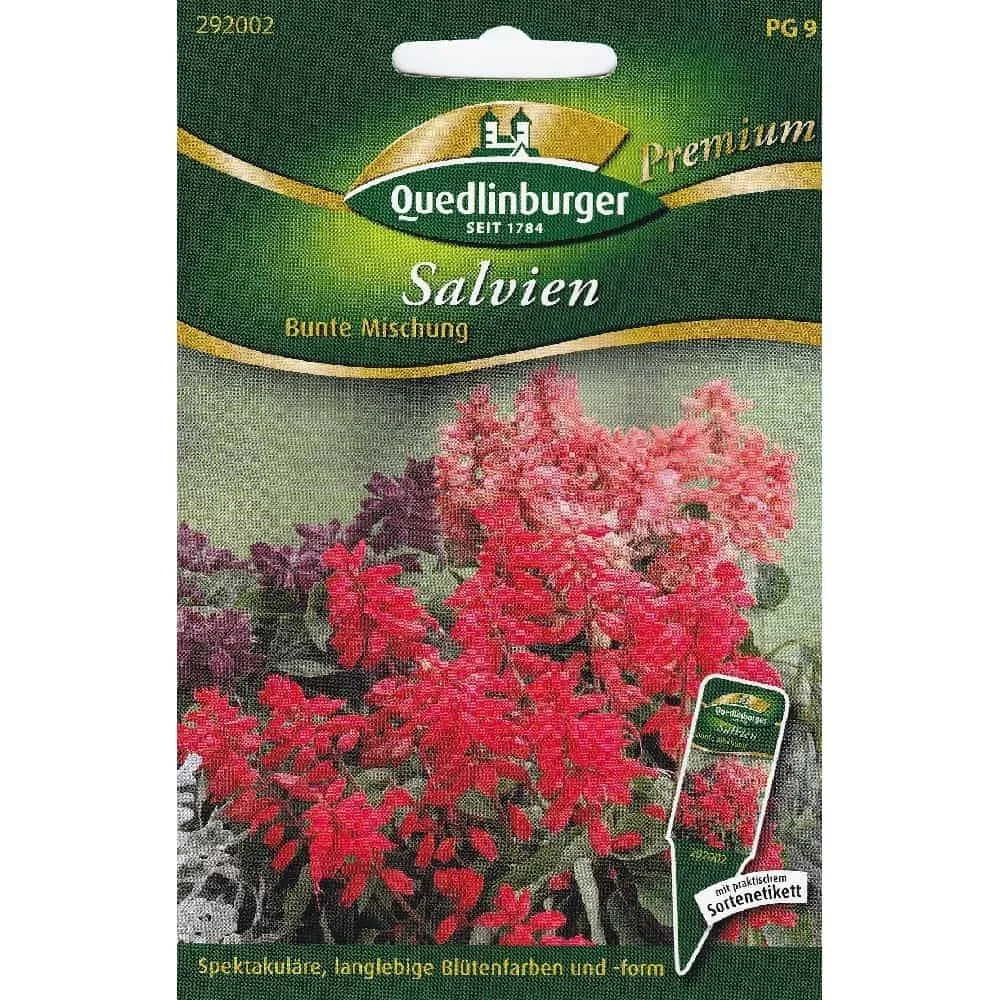 Salvias, Colorful Mix
