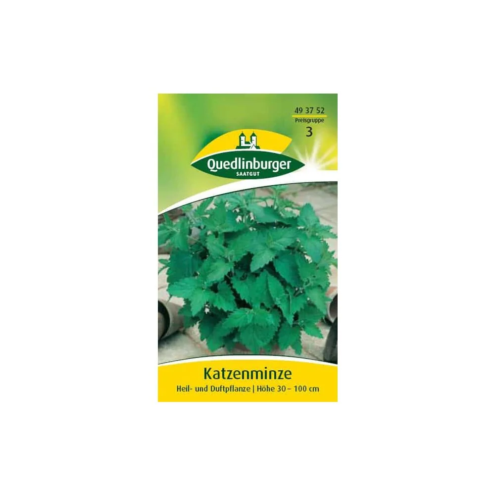 "Catnip Plant: Perennial, Fragrant & Bee-Friendly image"