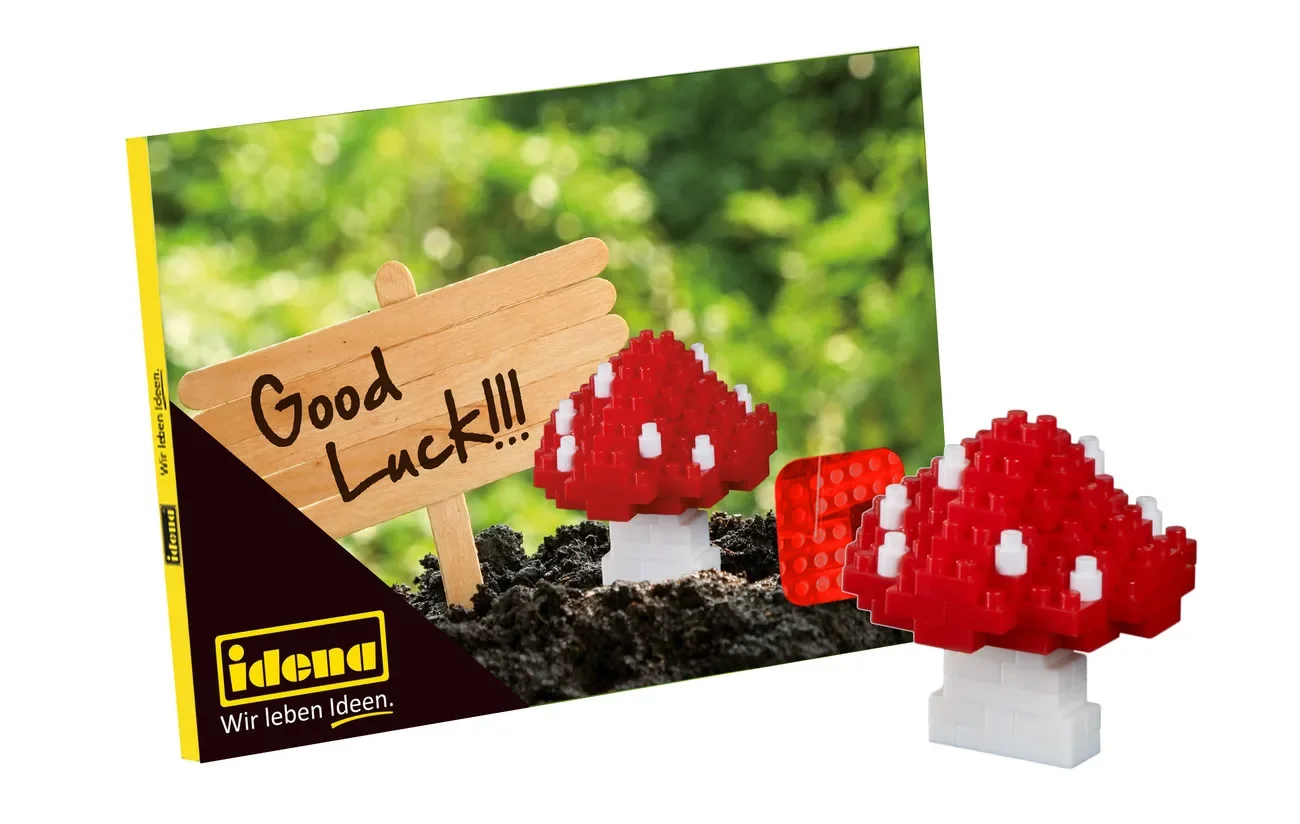 lego, Type: lucky one