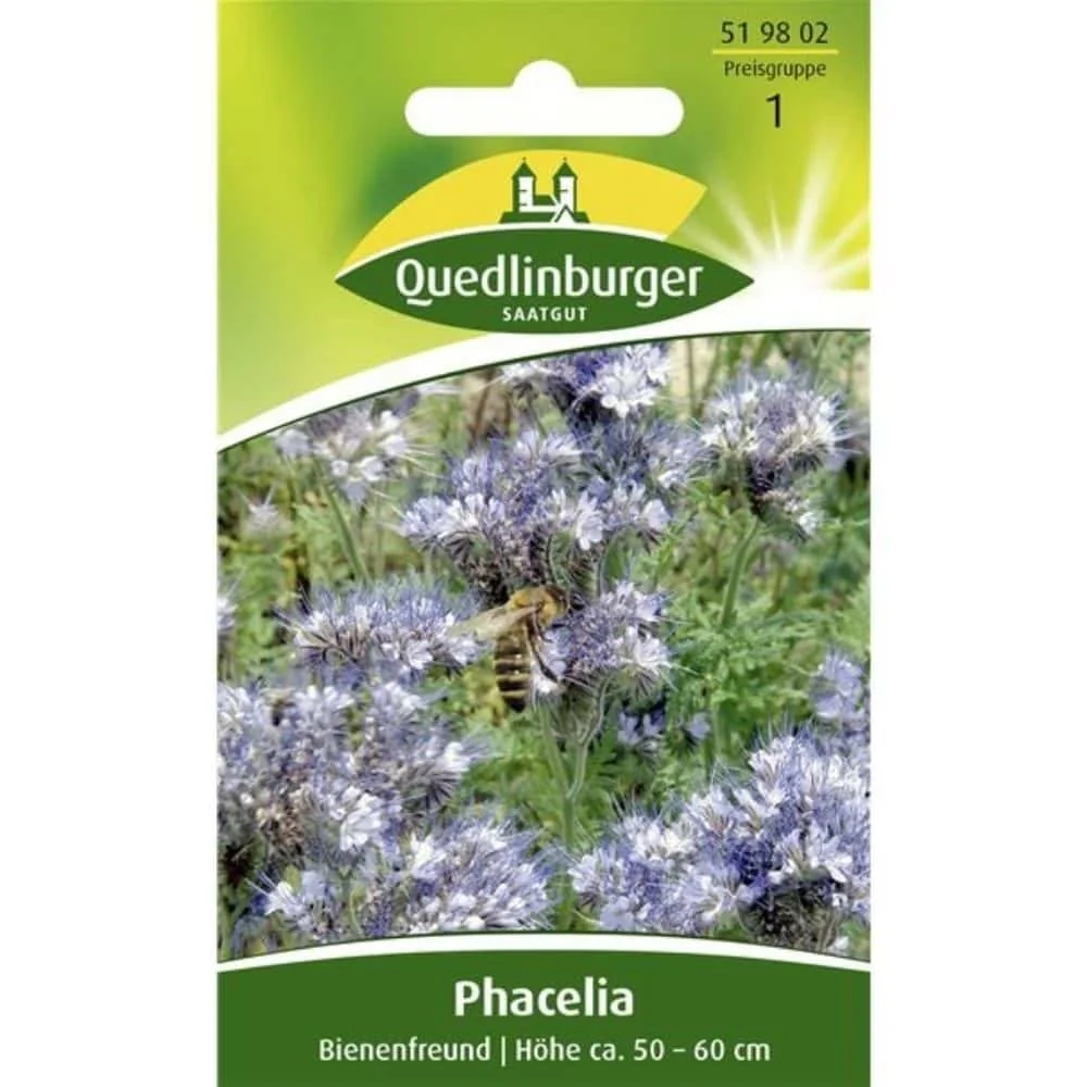 "Phacelia Seeds for Bees, Bee Pasture Seeds, Green Manure image"