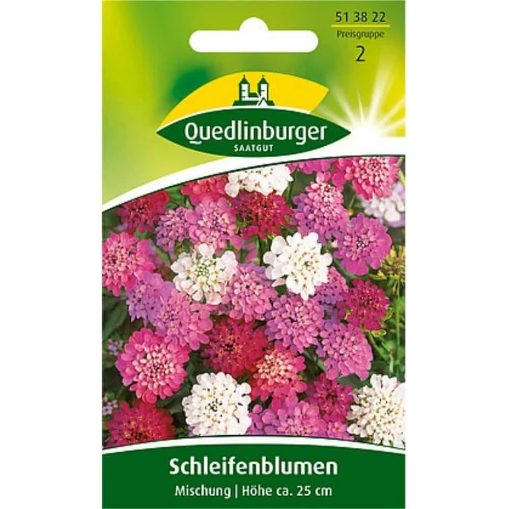 "Colorful Candytuft Flower Seed Mix for Gardens & Borders image"