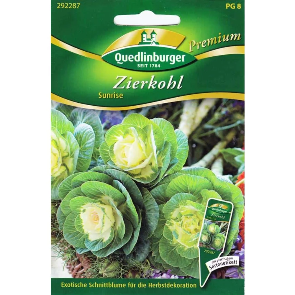 "Buy Ornamental Cabbage Sunrise, Fall & Winter Garden Color image"