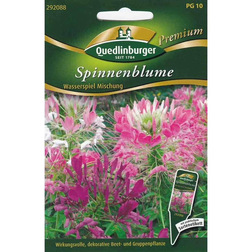 "Spider Flower, Water Play Mix image"