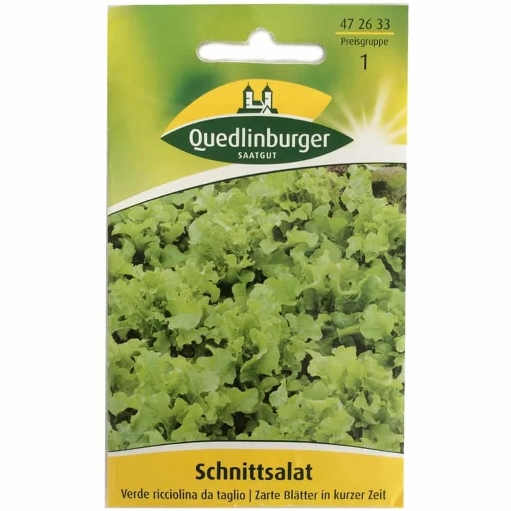 "Cutting Lettuce, Verde ricciolina image"