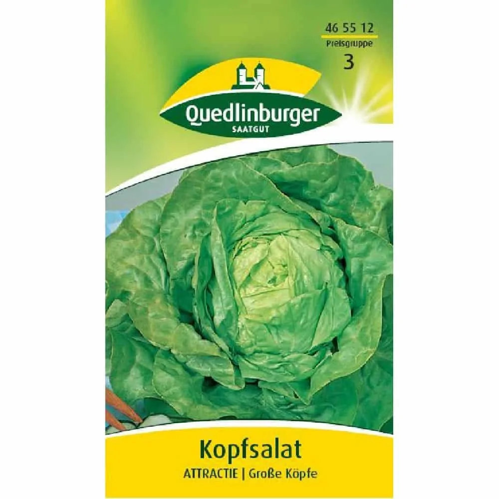 "Lettuce, Attractie image"