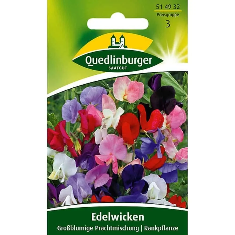 "Sweet Pea, Large-flowered Mix image"