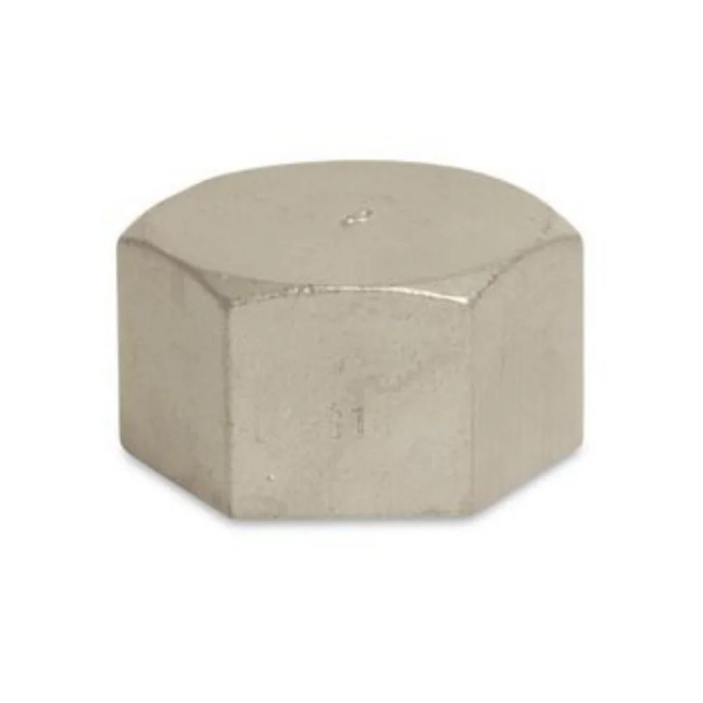 2 Inch Stainless Steel Pipe Cap, Threaded Fitting