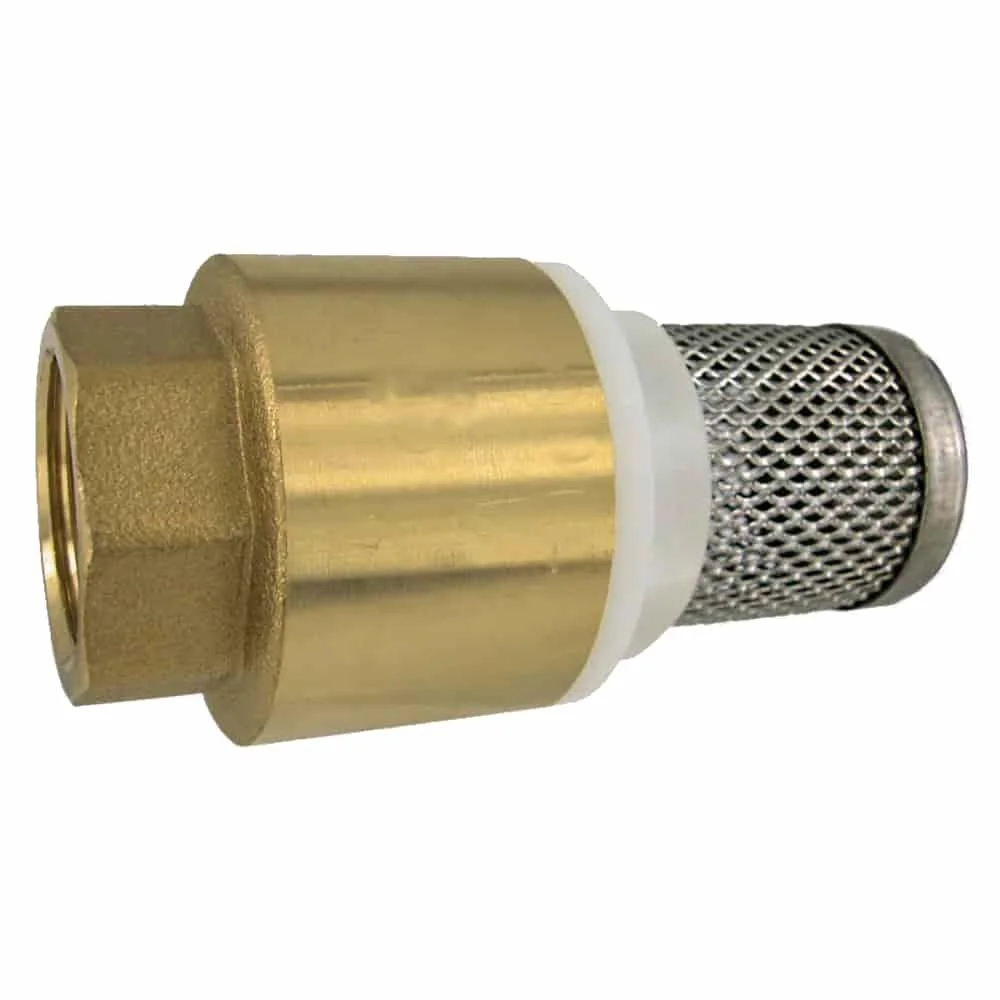 "Brass Foot Valve with Check Valve and Stainless Steel Strainer image"