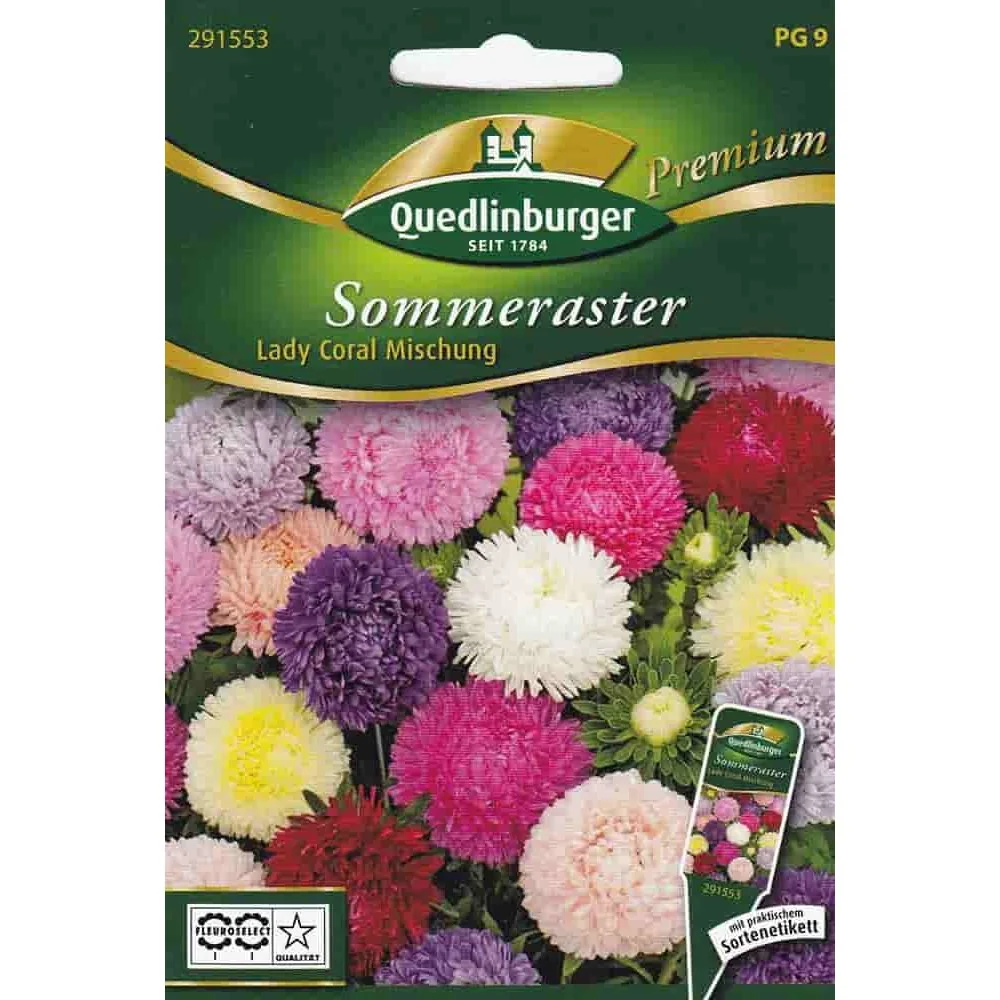 "Lady Coral Summer Aster Seeds - Colorful Flower Mix image"