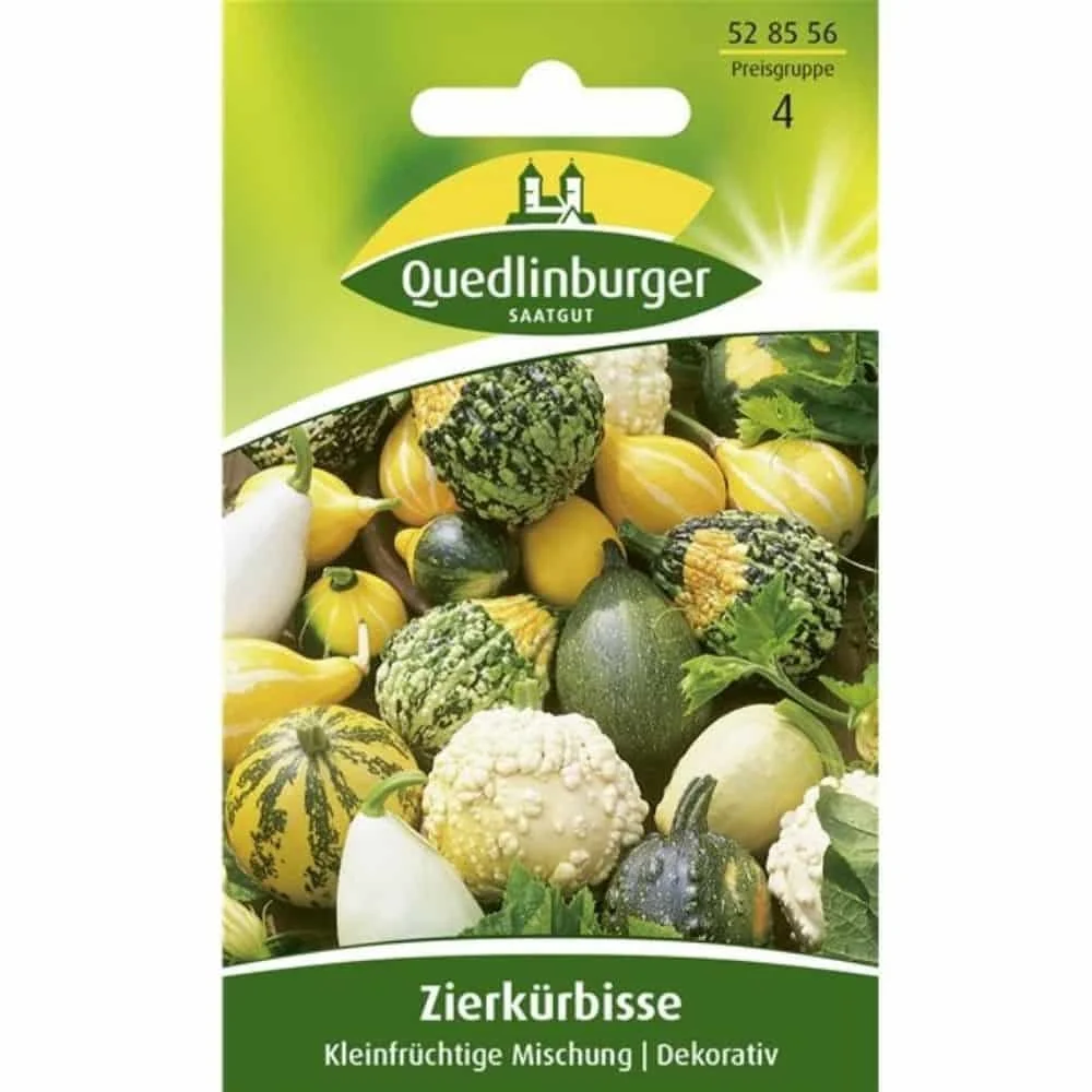 "Ornamental Gourd Mix - Small Fruited Variety image"