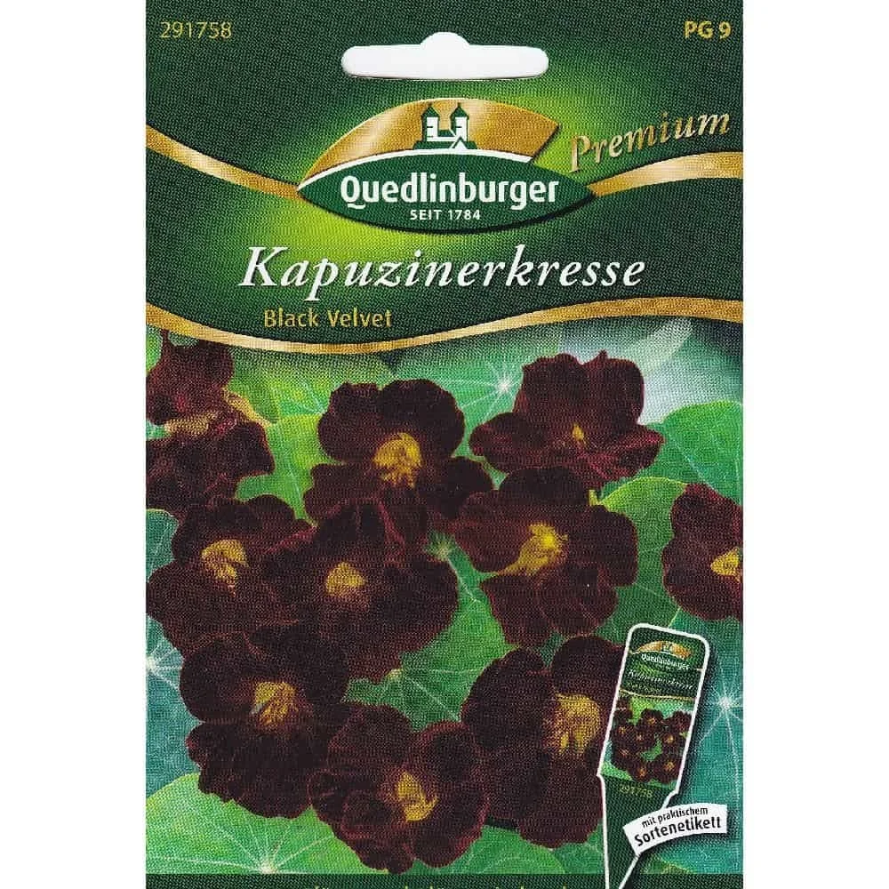 "Black Velvet Nasturtium Seeds - Edible Flower Seeds image"