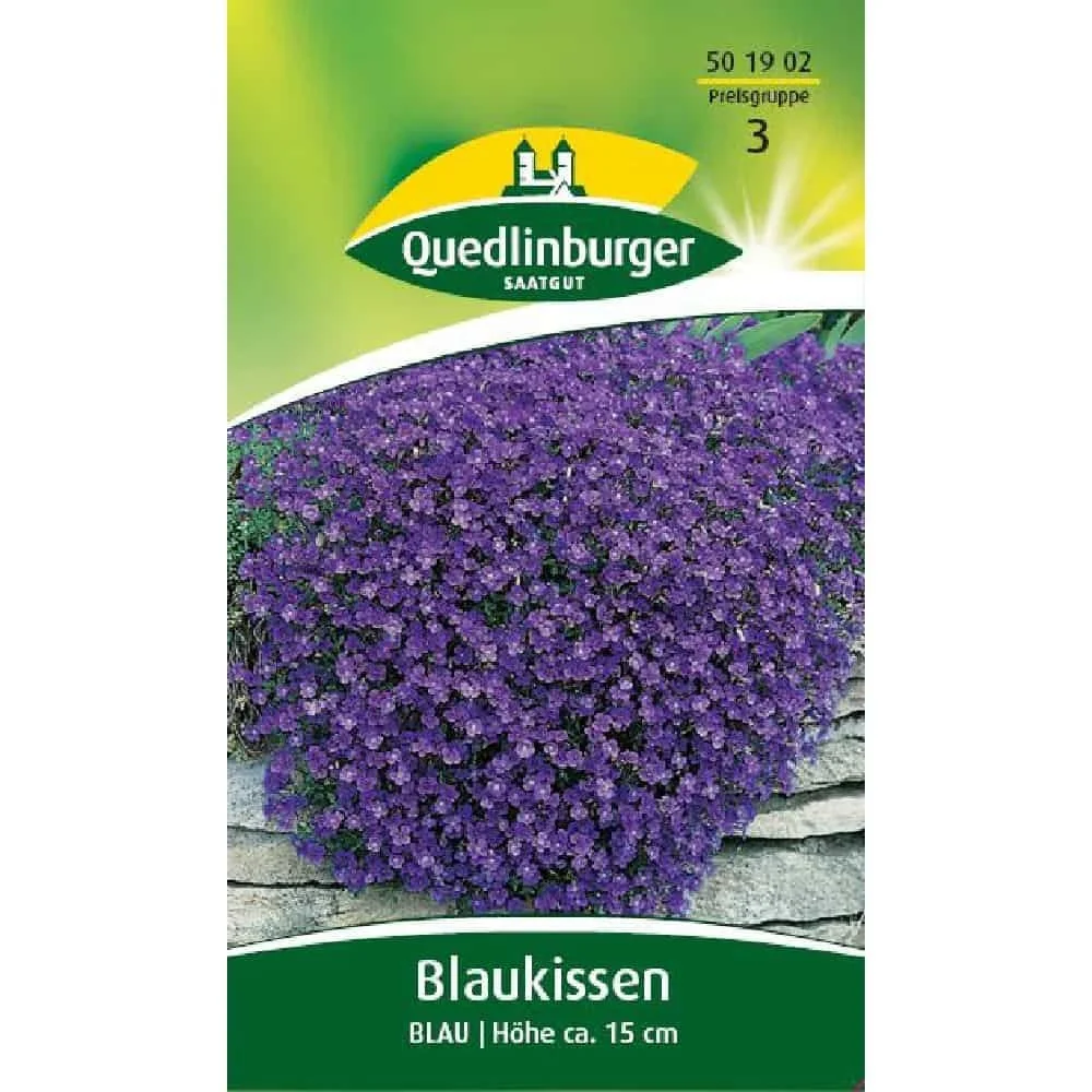 "Buy Blue Cushion Plant, Winter Hardy Rock Cress image"