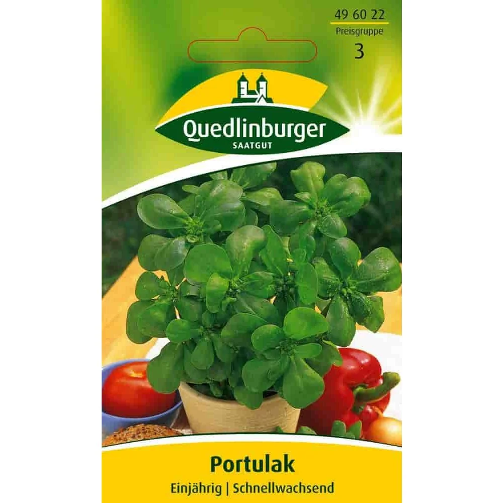 "Portulaca image"