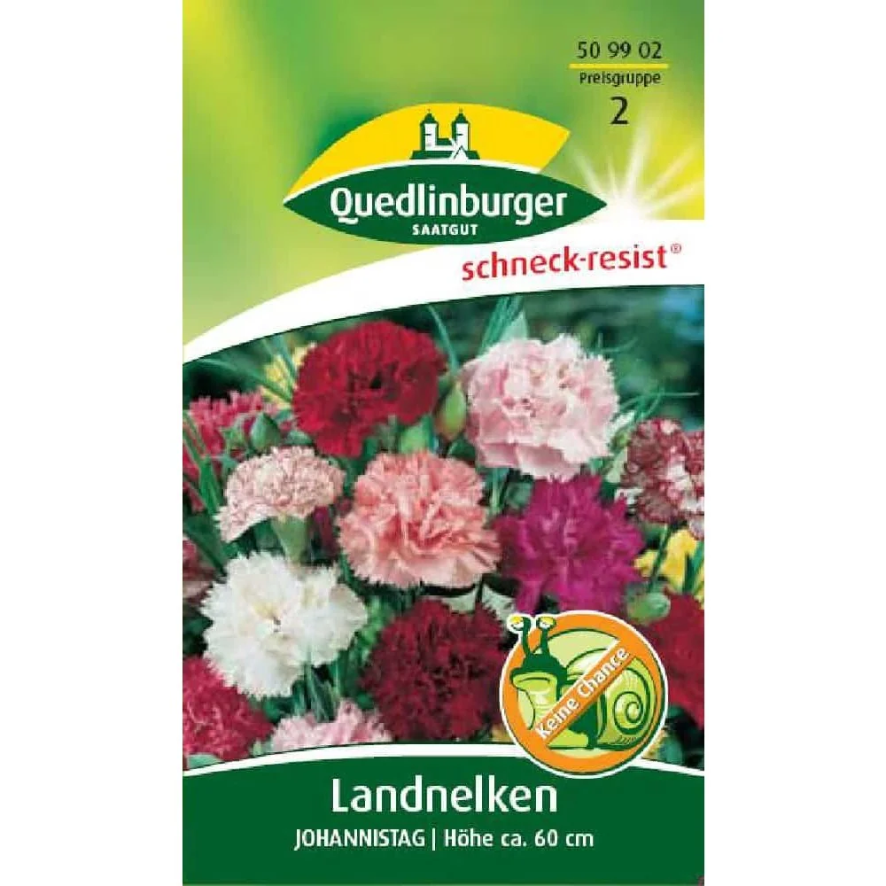 Buy Carnation Seeds - Johannistag, Cottage Garden Flowers, Dianthus Seeds