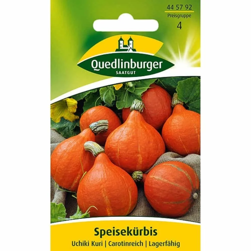 "Uchiki Kuri Squash Seeds - Grow Your Own Hokkaido Pumpkin image"