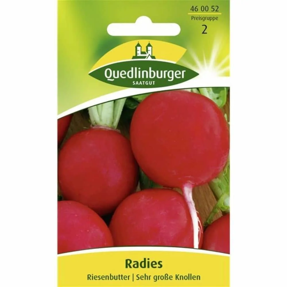 Giant Butter Radish Seeds: Grow Fresh Radishes This Summer!