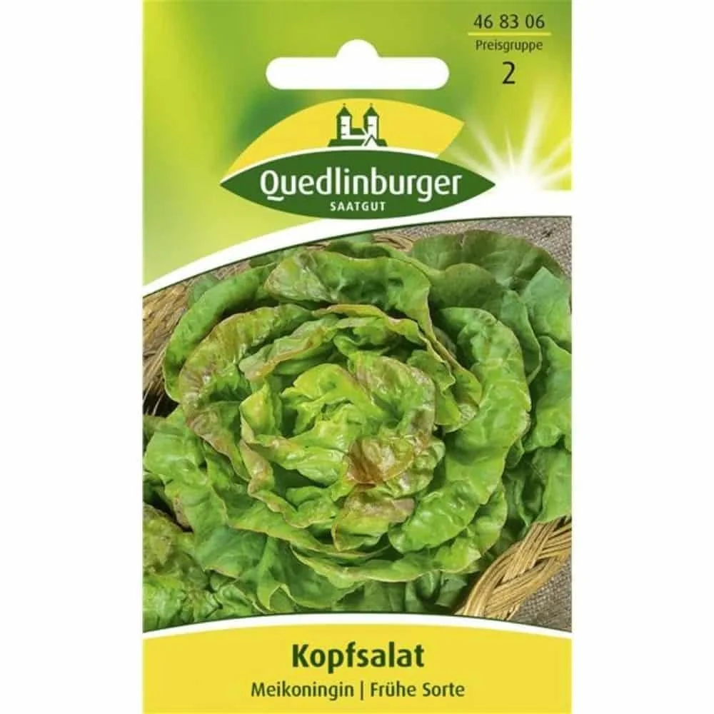 "Lettuce, Maikönig image"
