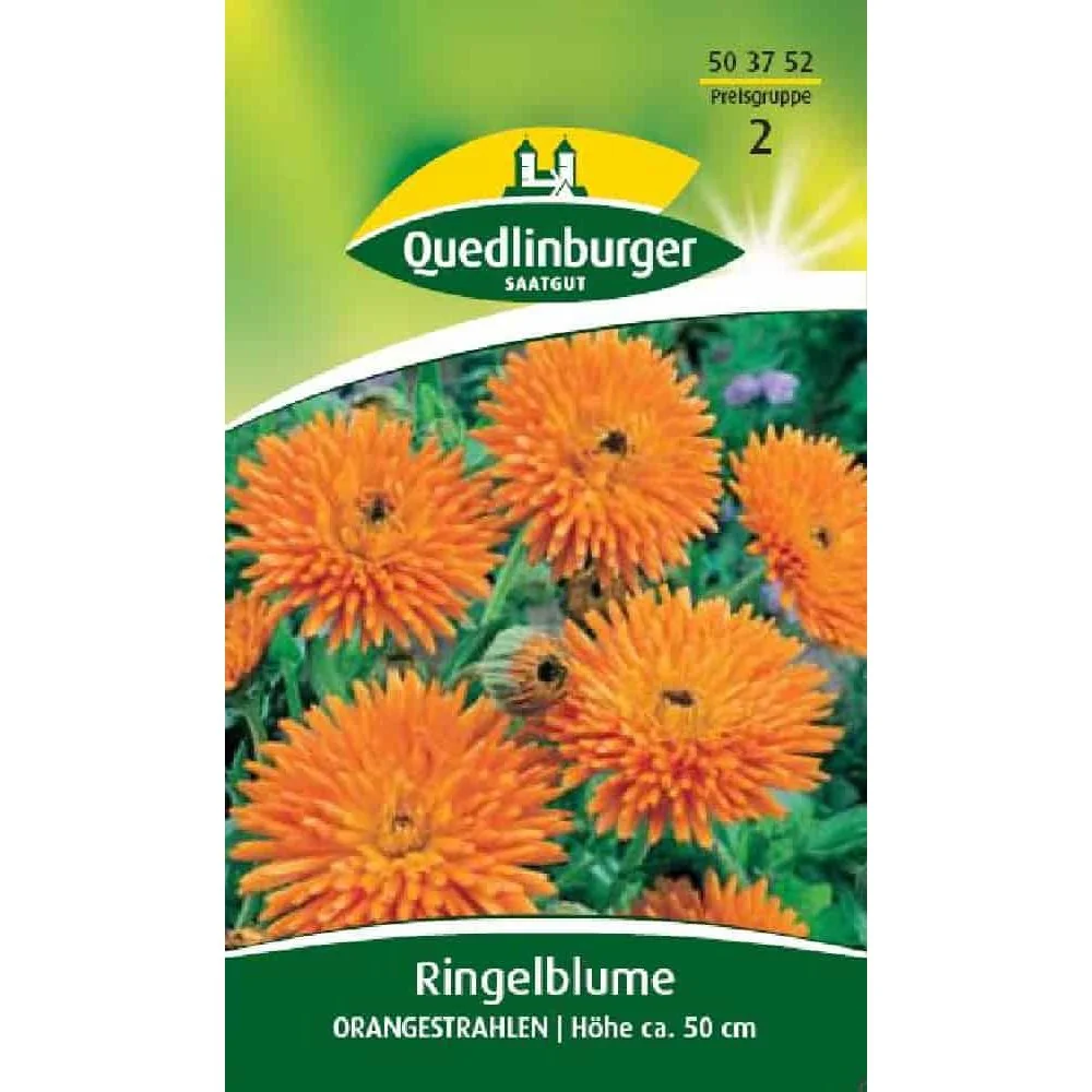 Orange Marigold Seeds: 'Orangestrahlen' Summer Flower