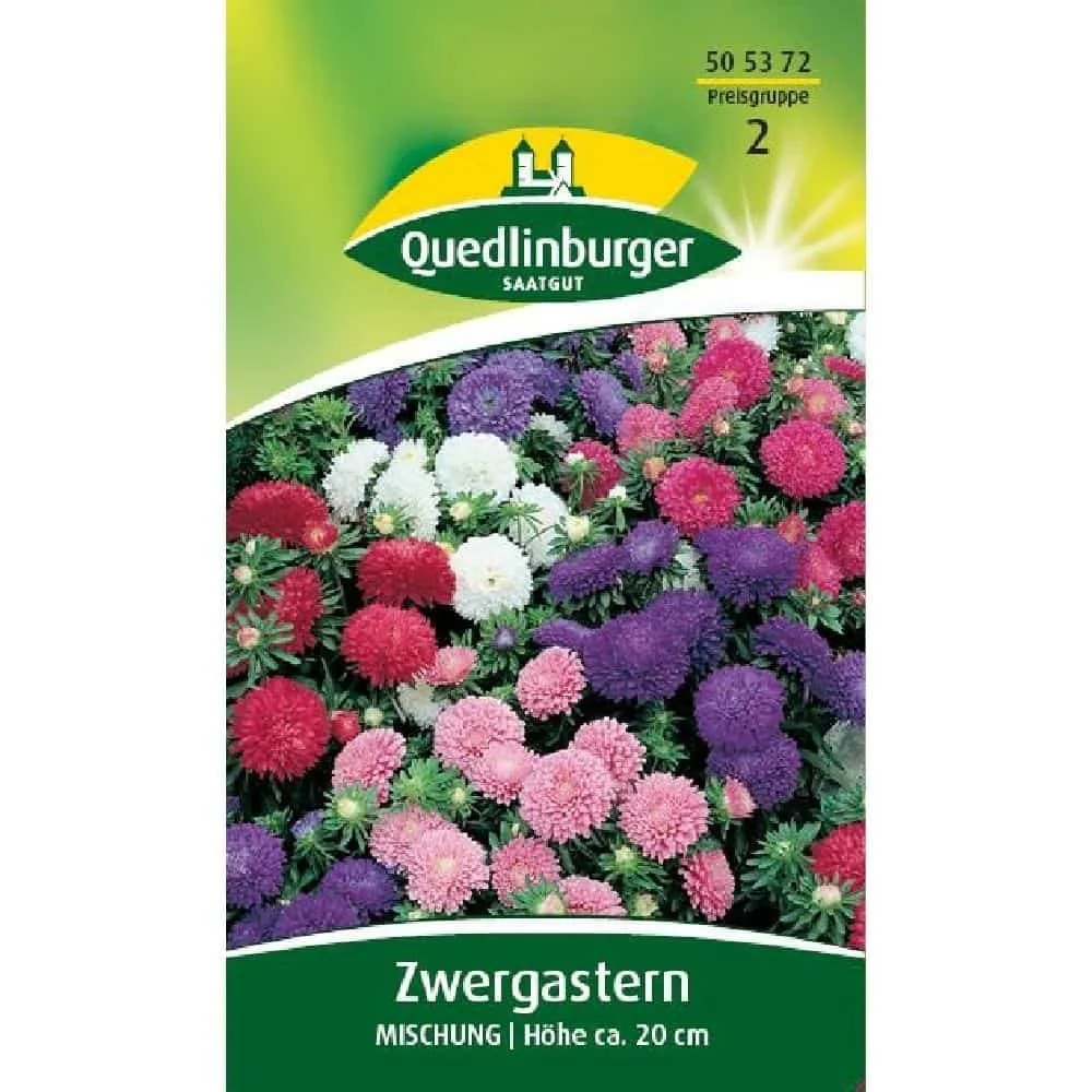 "Dwarf Aster Mix: Colorful Aster Plants for Your Garden & Balcony image"