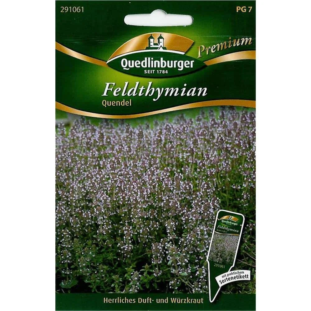 "Feldthymian Quendel: Buy Thyme for Perennial Ground Cover image"