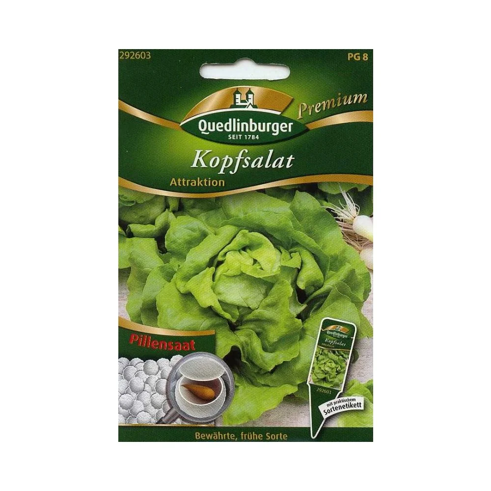 "Pill Head Lettuce, Attraction image"