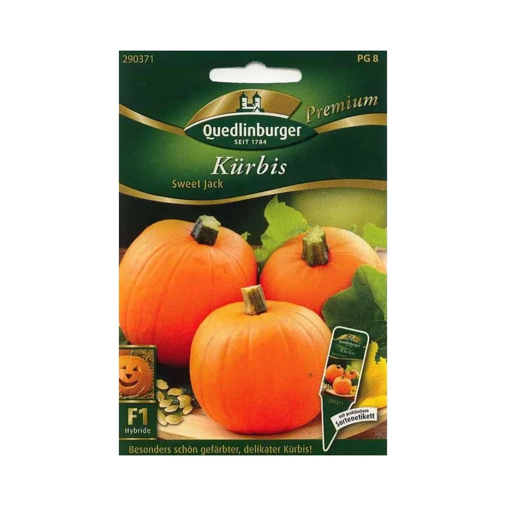 "Sweet Jack F1 Pumpkin Seeds: Grow Your Own Cooking & Halloween Pumpkins image"