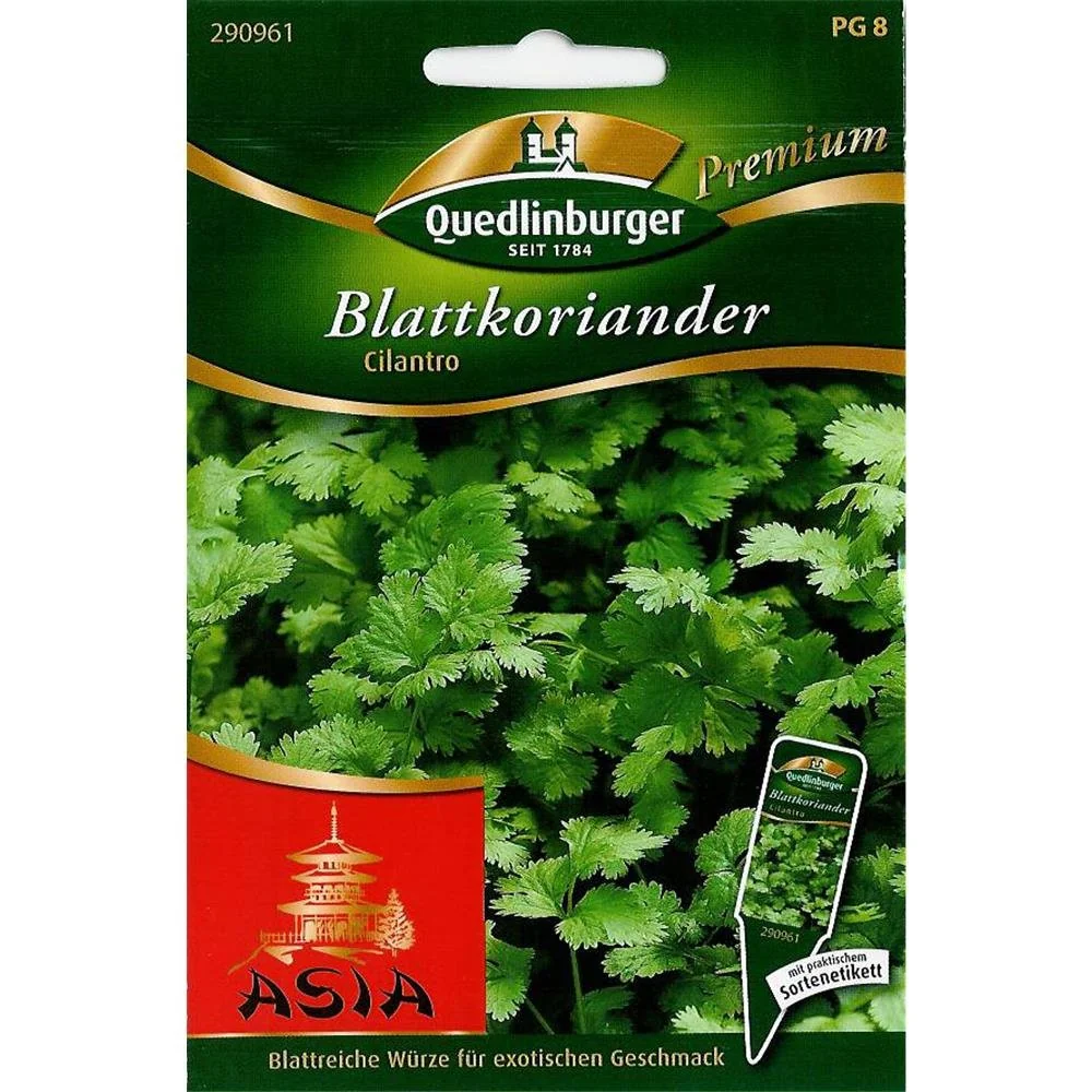 "Leaf Coriander, Cilantro image"