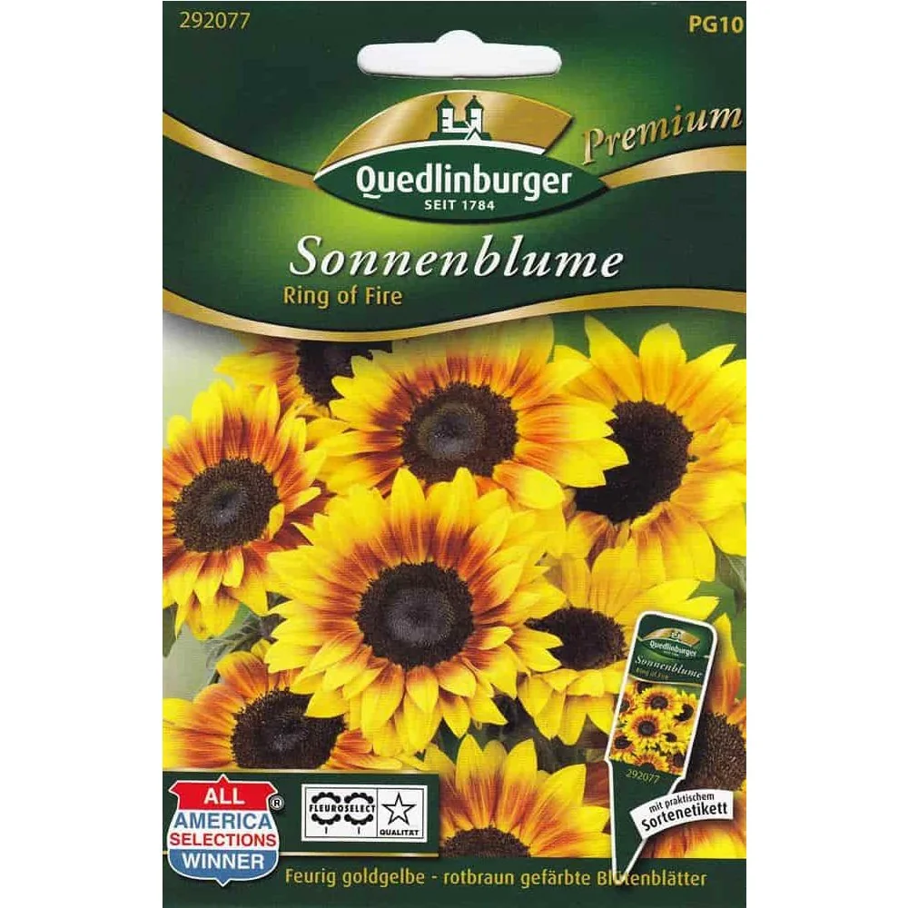"Ring of Fire Sunflower Seeds - Buy Sunflower Seeds at image"