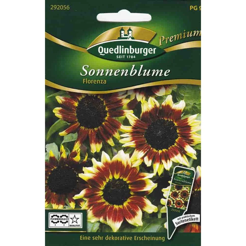 "Buy Sunflower Seeds: Florenza Sunflower, Annual Variety image"