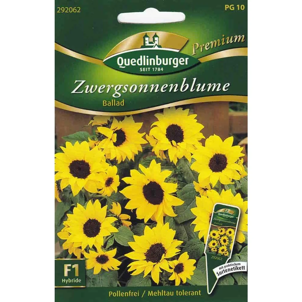 "Dwarf Sunflower Ballad F1 Seeds - Pollen-Free Pot Sunflower image"