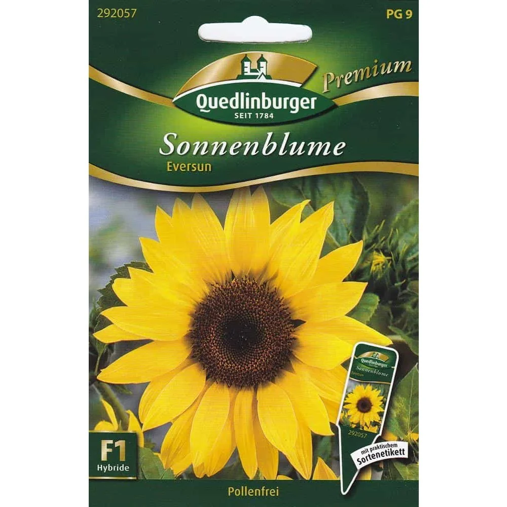 "Eversun Sunflower Seeds: Pollen-Free Annuals for Cutting image"