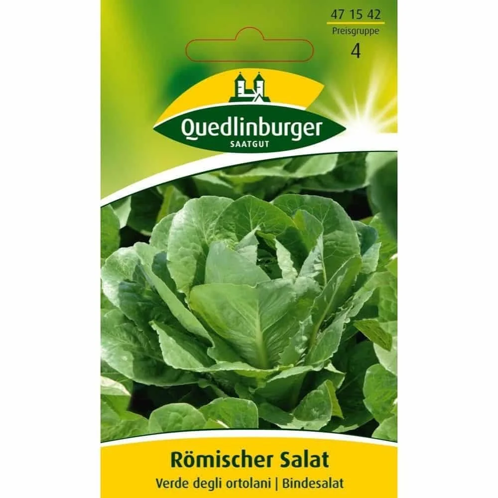 "Roman Lettuce, Green of the Gardeners image"