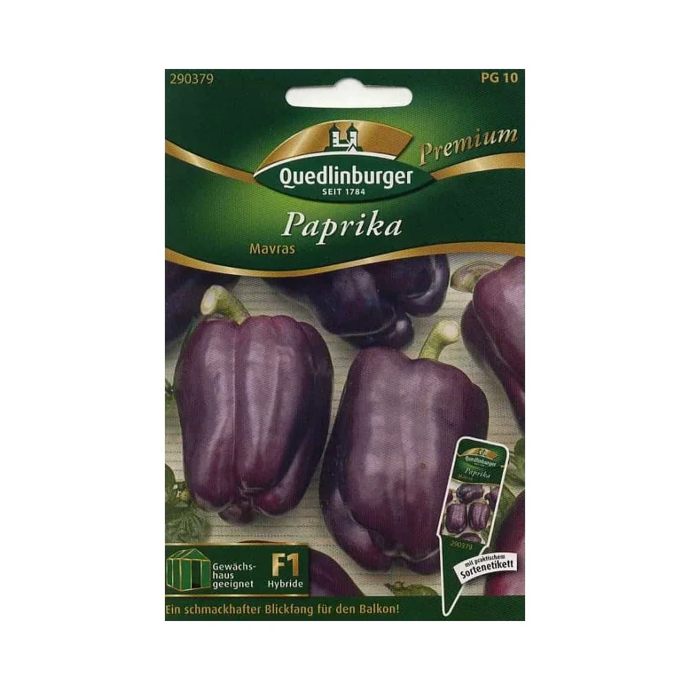 Mavras F1 Pepper Seeds - Dark Purple Block Pepper, Resistant Variety