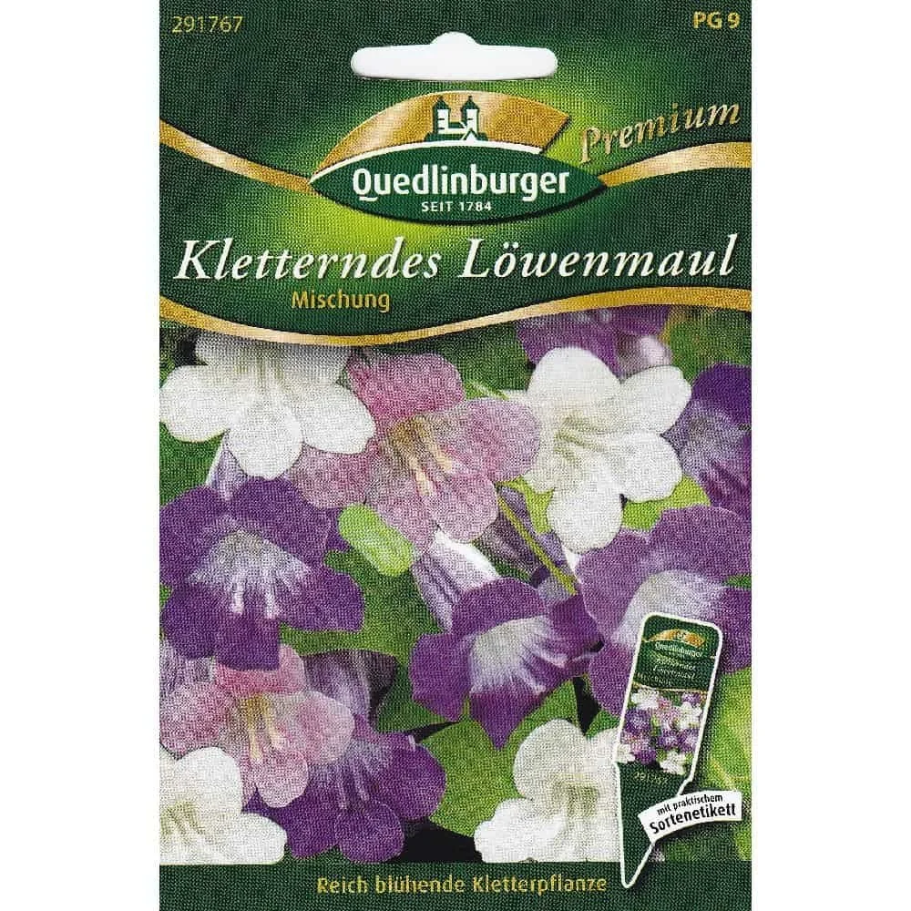 Climbing Snapdragon Seeds - Asarina for Balcony & Garden