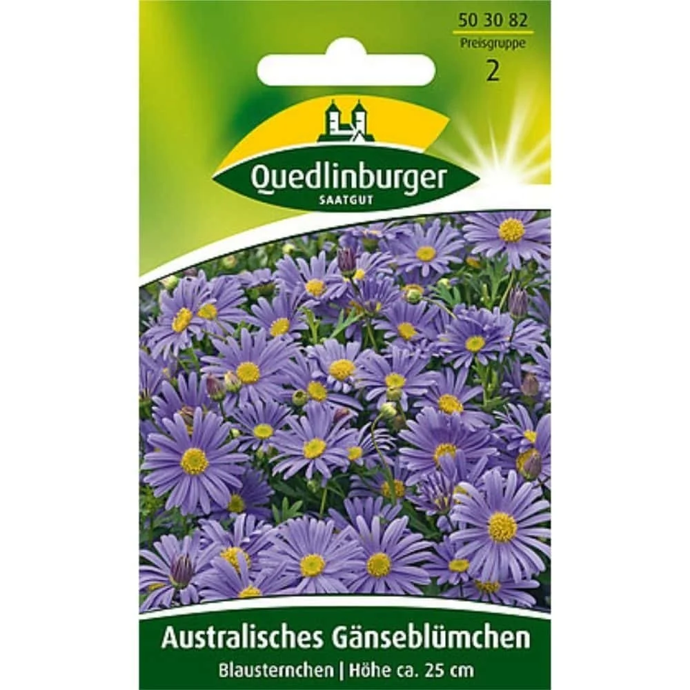 "Australian Daisy, Blue Meruseru image"