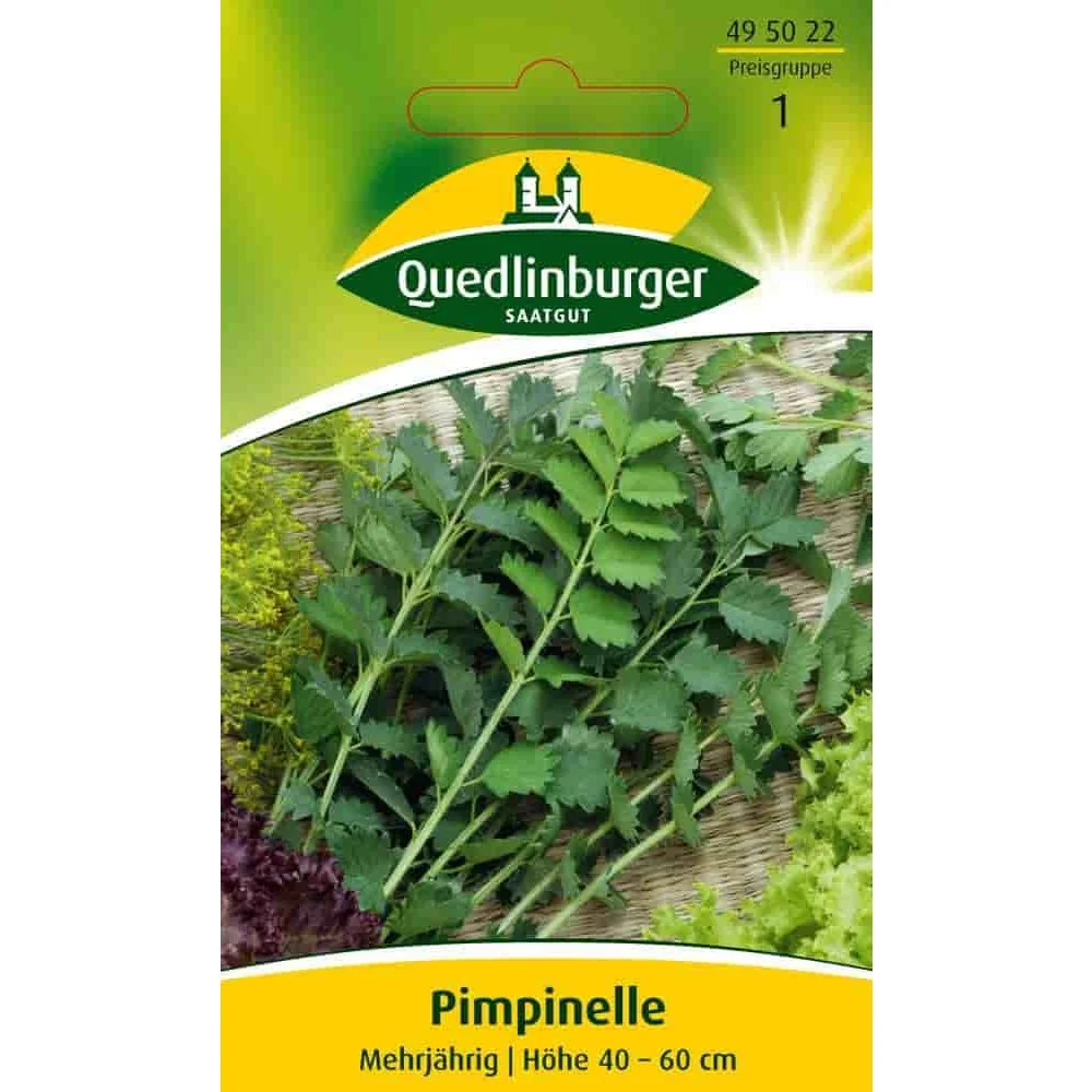 "Buy Pimpinelle Seeds - Perennial Herb for Easy Growing image"