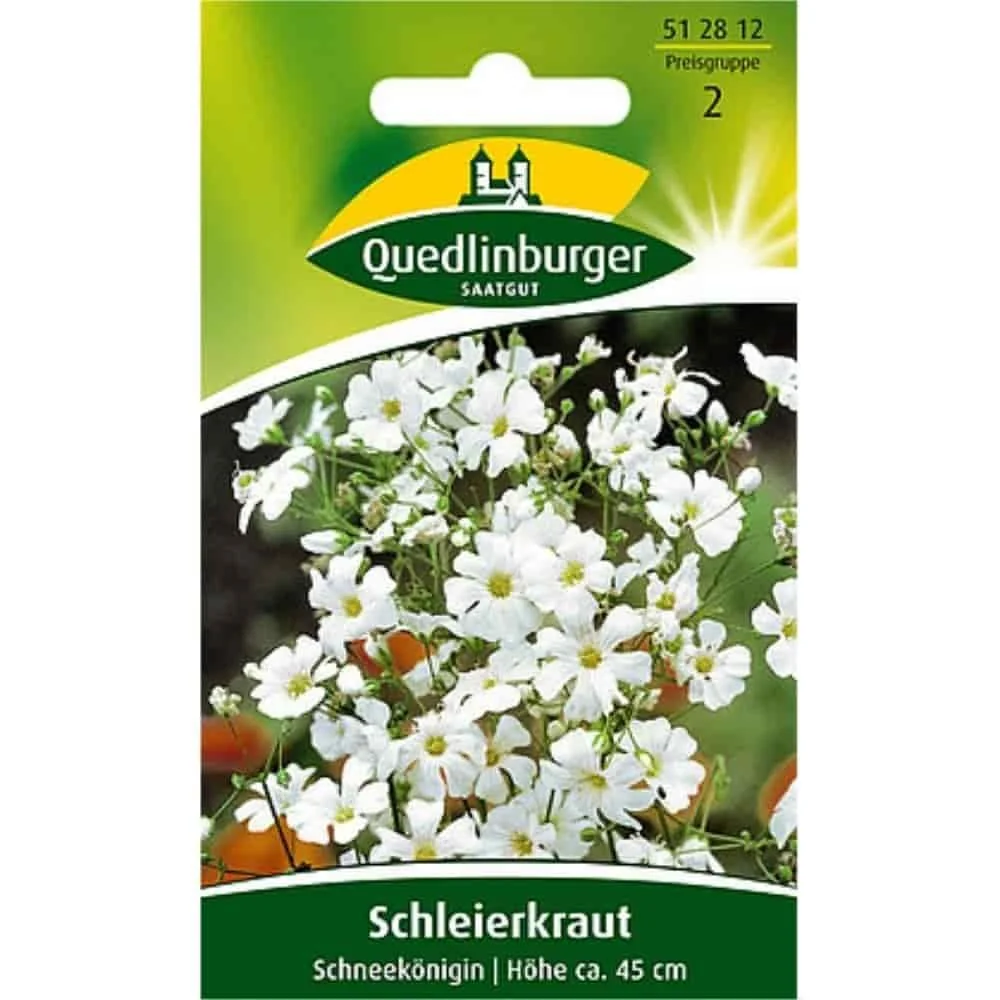 Baby's Breath Seeds, Schneekönigin, White Gypsophila for Rock Gardens