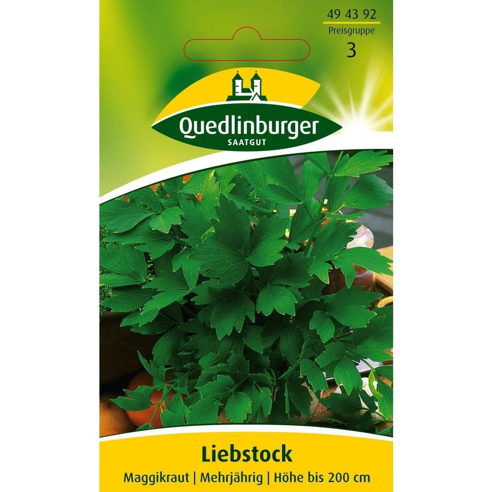 "Lovage Seeds - Grow Your Own Maggi Herb image"
