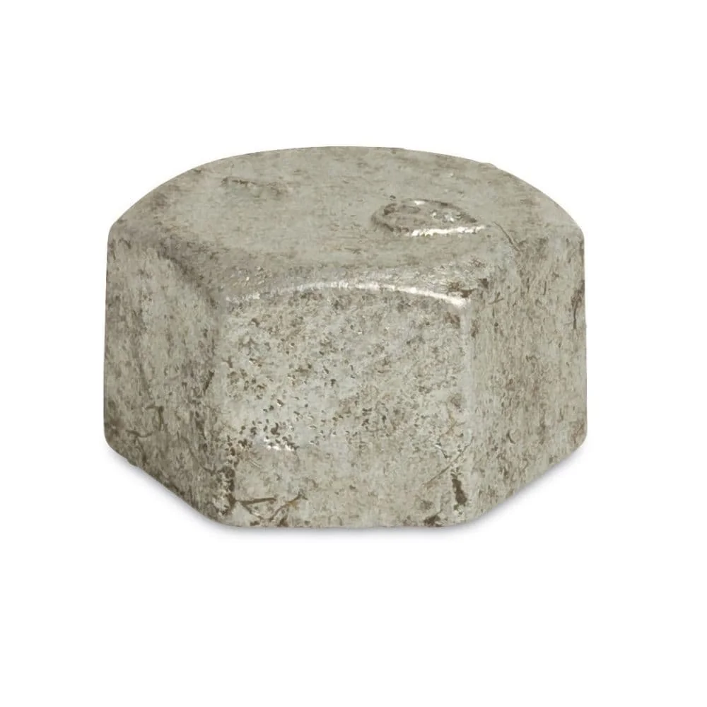 "2 Inch Malleable Iron Threaded Pipe Cap - Hex, Internal Thread image"