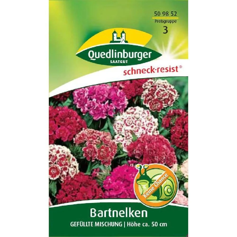 "Double Mix Sweet William Flowers - Colorful Cottage Garden image"
