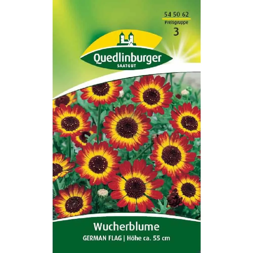 "Wucherblume Seeds: Colorful Annual Flowers for Your Garden image"
