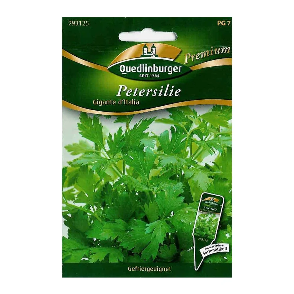 Italian Large Leaf Parsley Seeds - 'Gigante d'Italia'