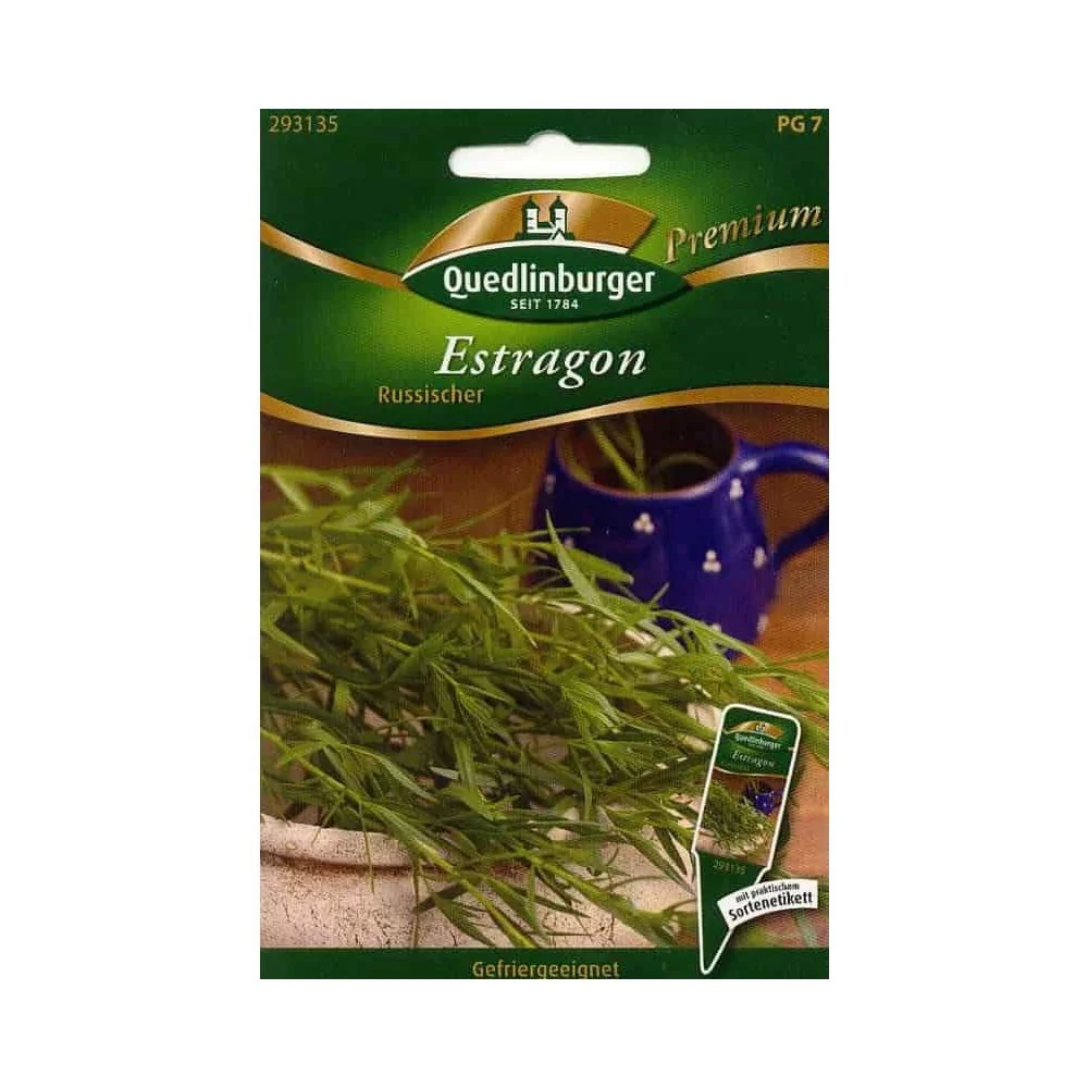 "Buy Russian Tarragon Plant - Perennial Herb for Your Garden image"